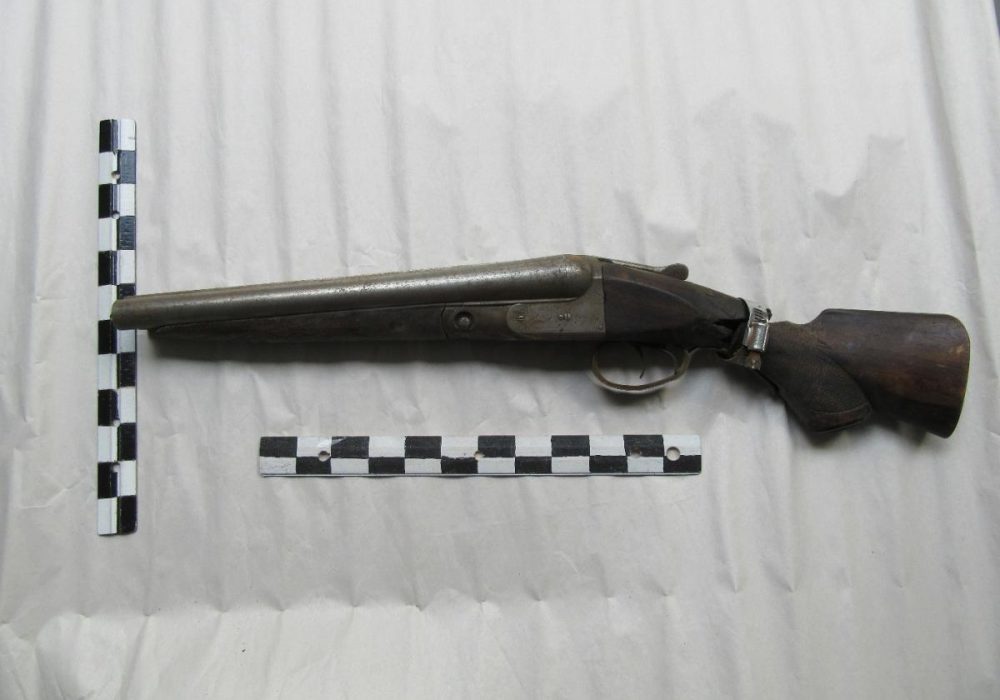 Found in Collection